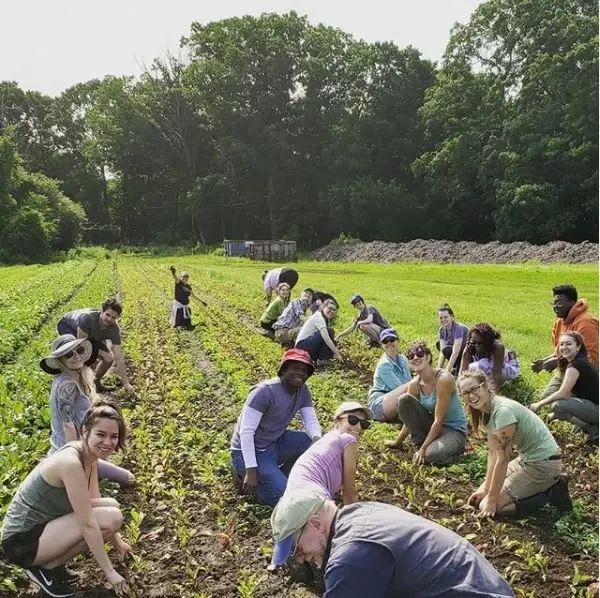 Volunteer On The Farm! Fridays and Saturdays 2025
