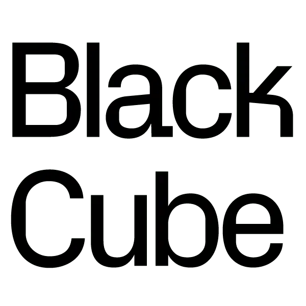 Volunteer at Black Cube Nomadic Art Museum