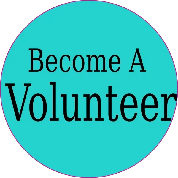 Companionship Support Volunteers