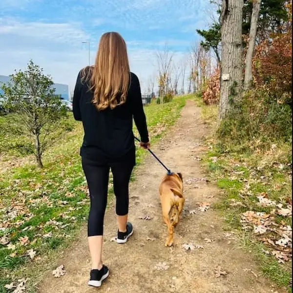 Love dogs?  Dog walkers needed!