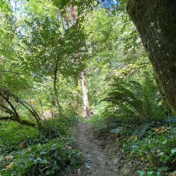 Land Stewards: Habitat Restoration