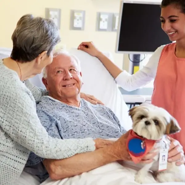 Seeking Pet Therapy Volunteers
