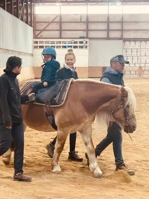 Equine Therapy - New Volunteer Training