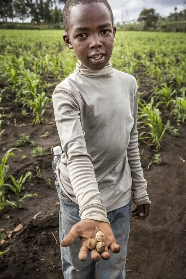 Wallet App Project Manager