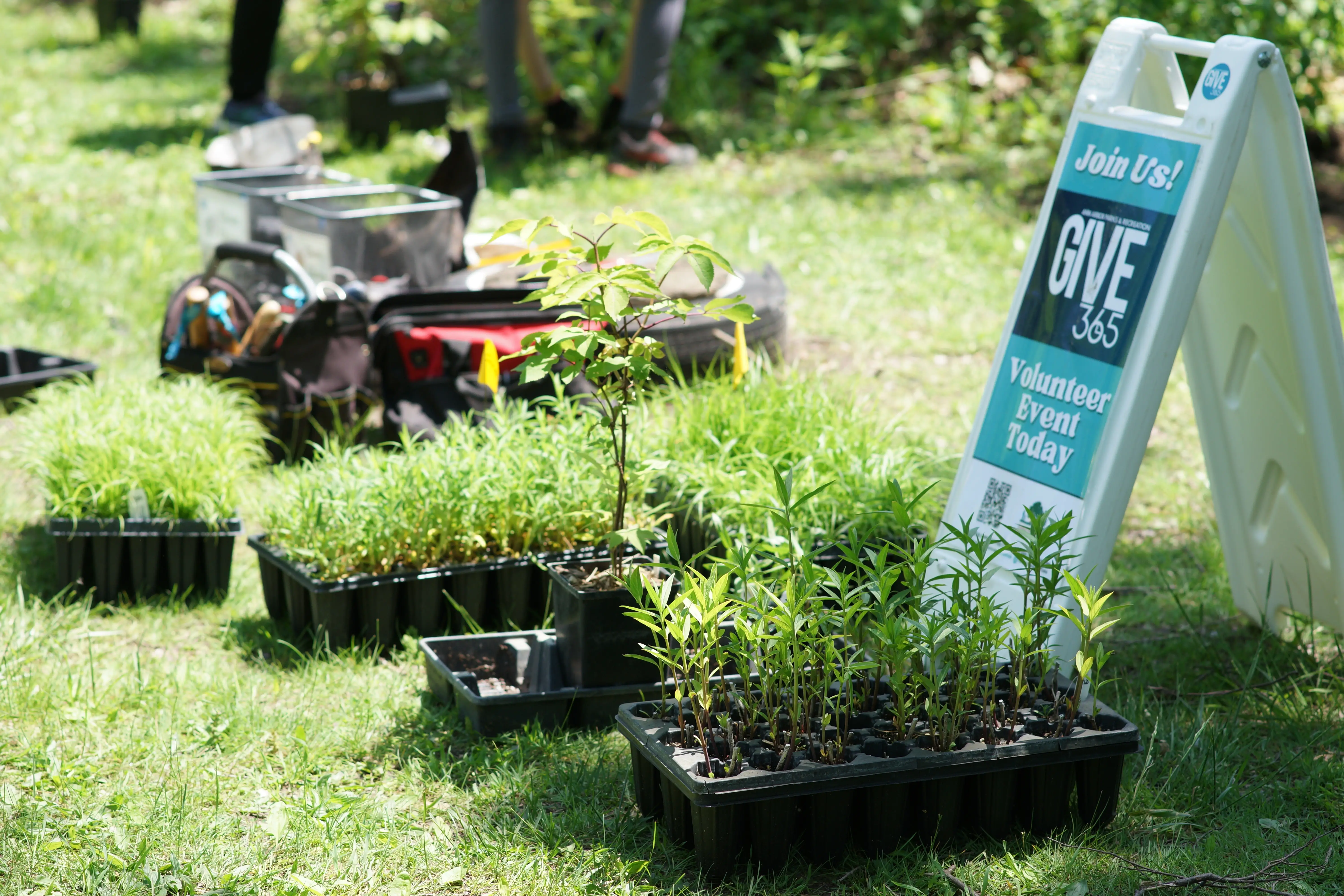 Huron Highlands Park Garden Workday