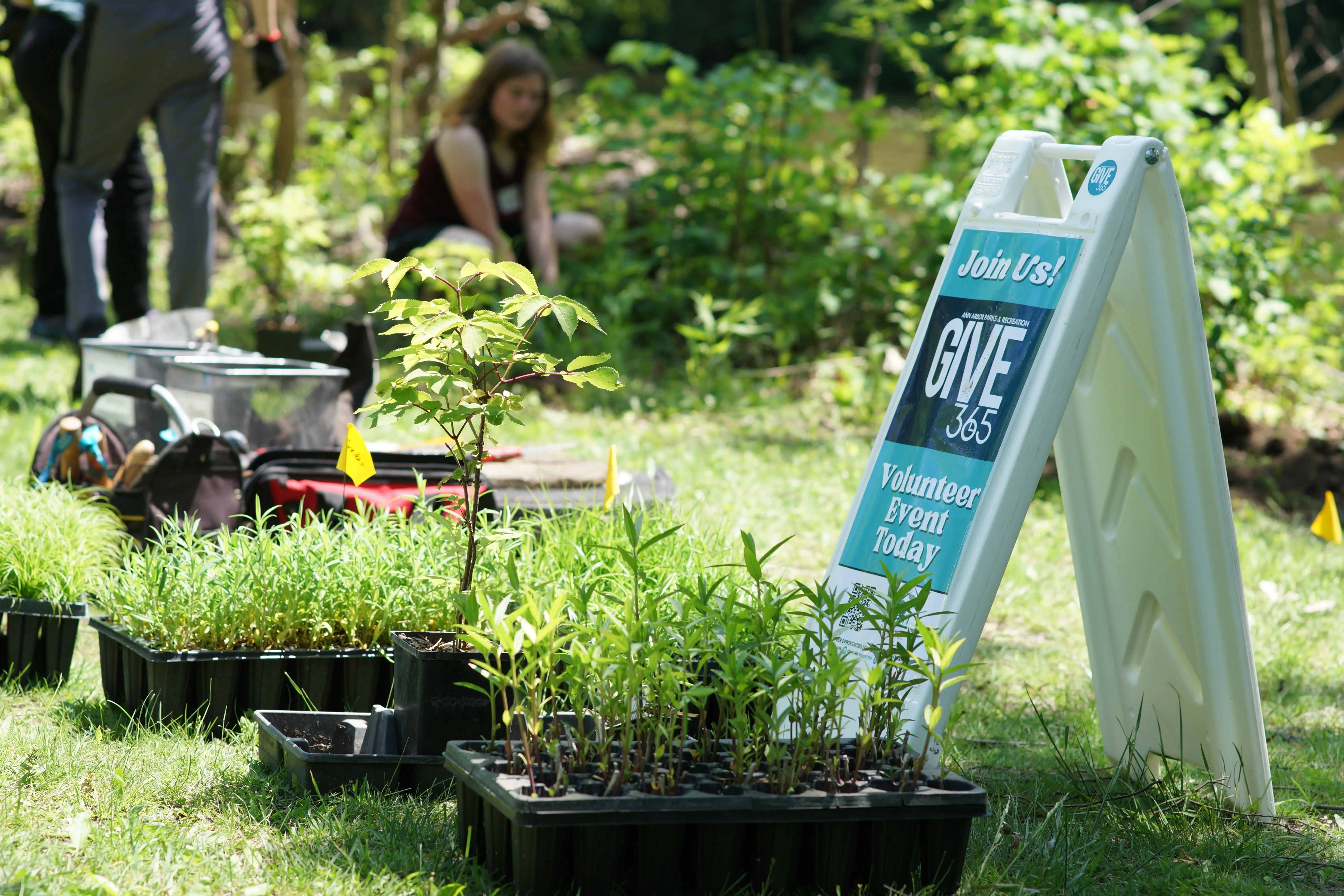Garden Workday at South University Park