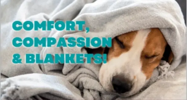 Knitting & Crochet Artists...Wrap Our Patients in Your Comfort Blankets!