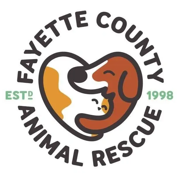 Create Social Media Posts on Canva to Promote Our Rescue's Programs!