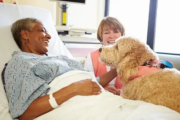 Hospice Volunteer, Paw Pals