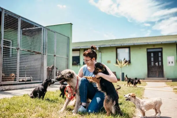 Care for Elder : Animal care