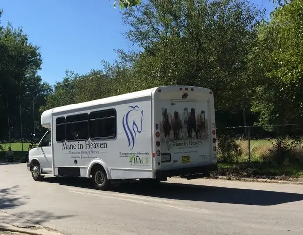 Bus Driver  needed to help transport our Mini Horses to hospital visits.