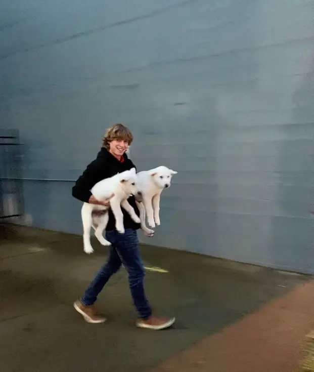 Animal Care Taker