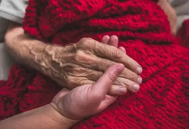 In-Office Volunteer Opportunity - Make a Difference with Nova Hospice