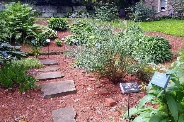 Flower and Vegetable Garden Volunteer
