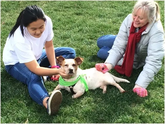 Furkids Dog Shelter "Sadie's Place"