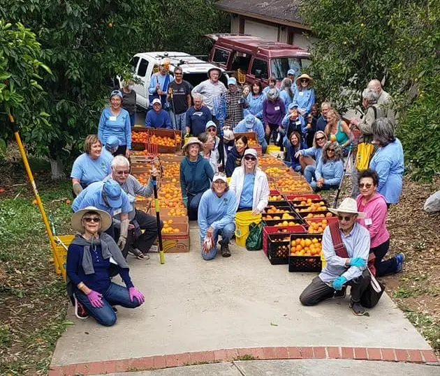 Volunteer to help with fundraising for San Diego food recovery nonprofit