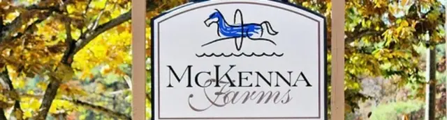 Volunteer with Horses and Children with Special Needs