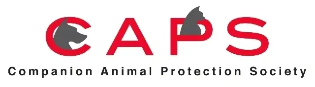 Volunteer for Petfinder page