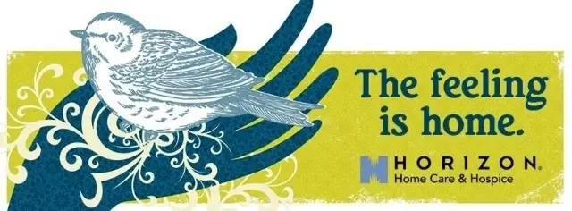 Seeking Volunteer Musicians To Visit Hospice Patients