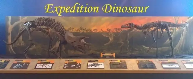 Natural History Museum Volunteer Program