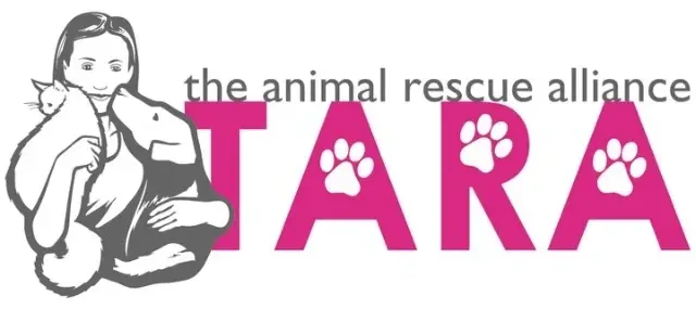 Help homeless pets in KC!