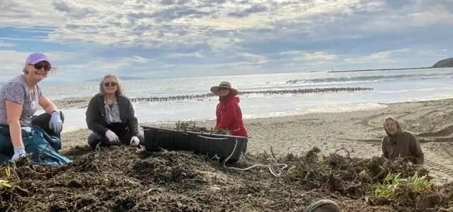 Ice Plant Removal at Doran Park