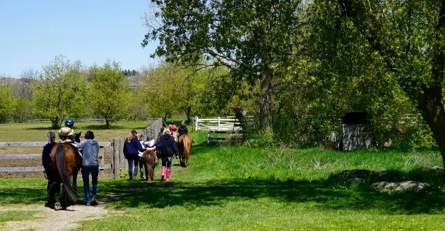 Volunteers Needed for Therapeutic Riding Program - Spring 2026