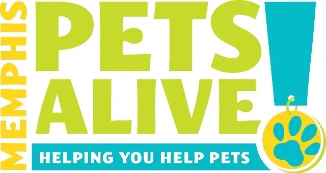 Fundraising events for animal rescue