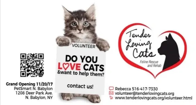 Volunteers Wanted for PetSmart N. Babylon Adoption Center
