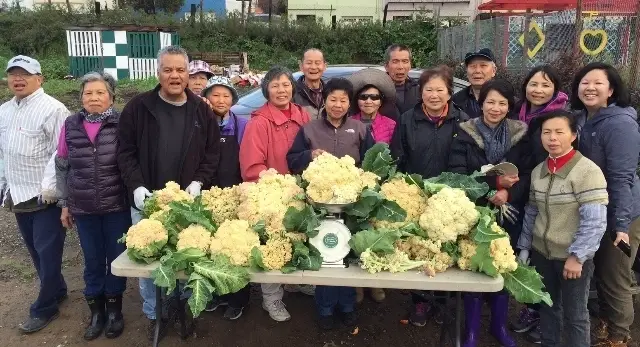 Social Media Specialist for Florence Fang Community Farm