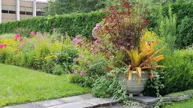 Gardening Volunteer Ambler Arboretum