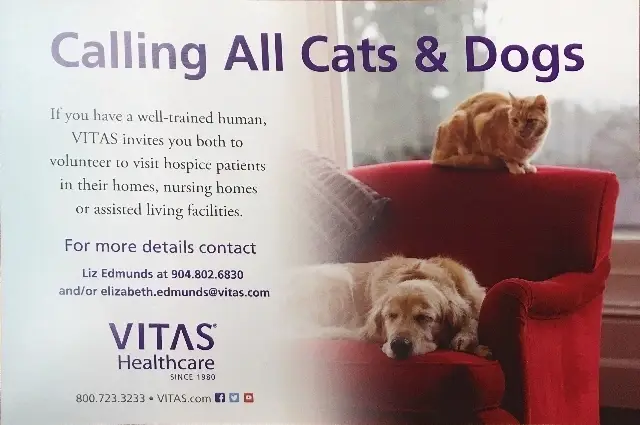 A great pet? Share the love with hospice patients as a VITAS Paw Pal volunteer!