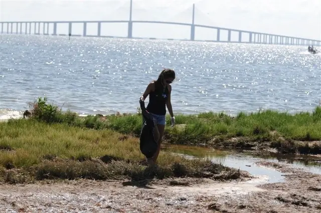 International Coastal Cleanup at South Skyway