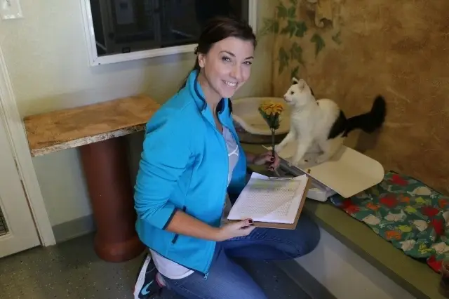Cat and Kitten Care