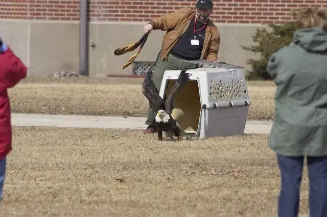 Resident Wildlife Rehab Interns
