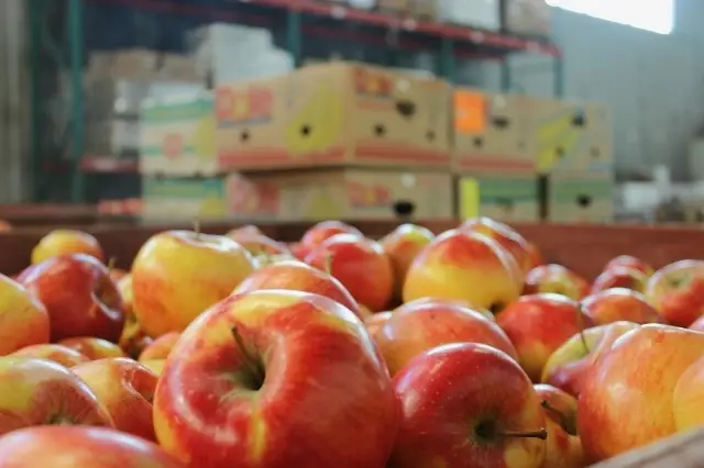 Help to Feed the Hungry - Become a Food Collector!