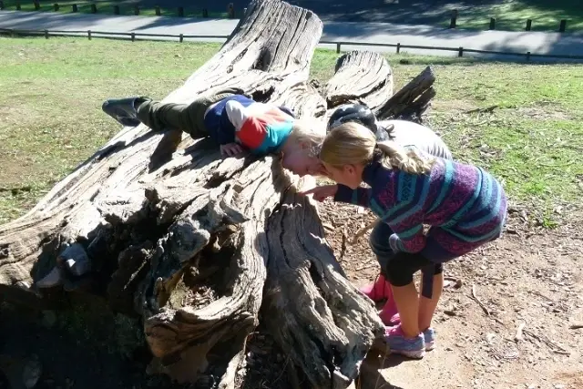 Nature Hikes Docent in Woodside