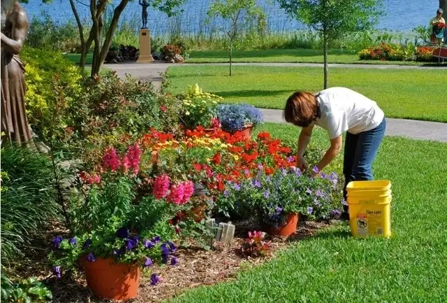 Garden Volunteers