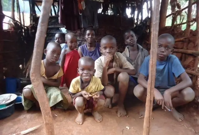 Volunteer Opportunity