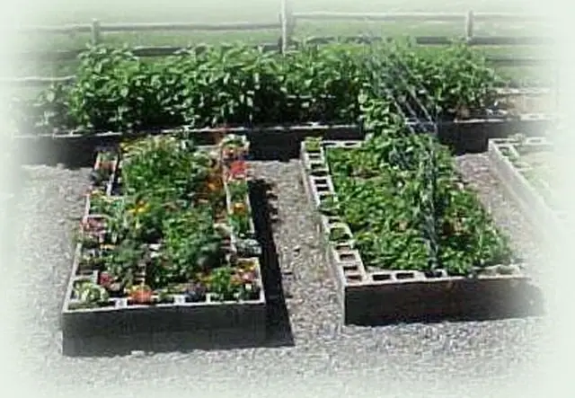 Landscaping Help Needed!