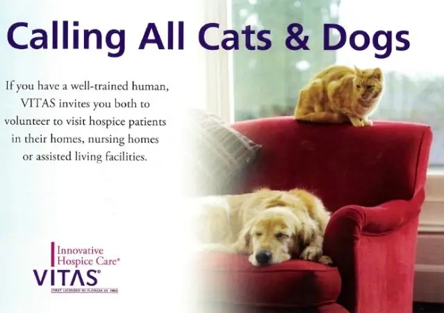 Pet Volunteers needed to Lick away Loneliness or Cuddle in a Lap or Make a "Dog-Gone" Difference in