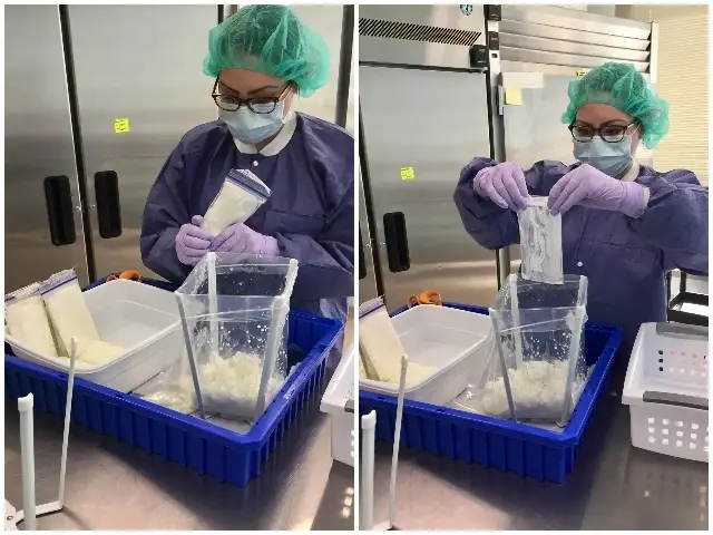 Help Save Florida Babies, Medical, Nursing students to help in the lab. Clerical opportunities