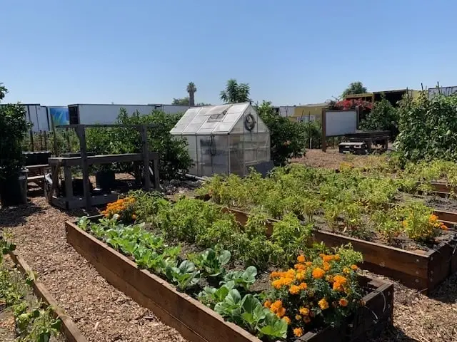 Lead Volunteer Opportunity at the Loaves & Fishes Organic Garden!