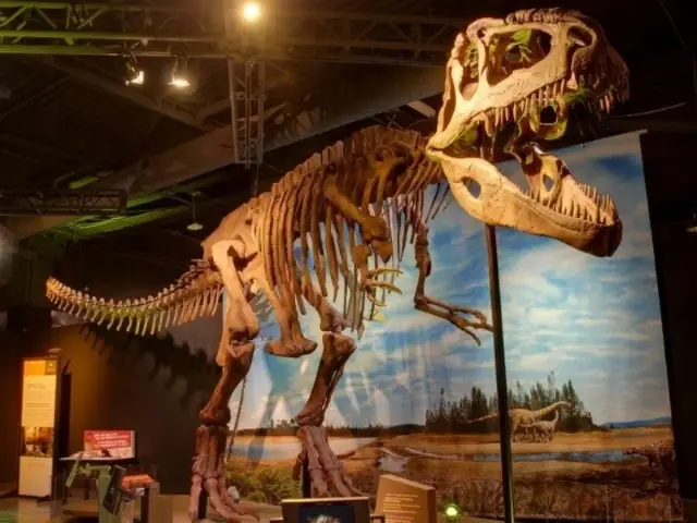 Summer Camps - fun for Teen Volunteers