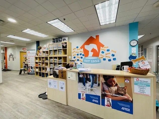 Front Desk Volunteer