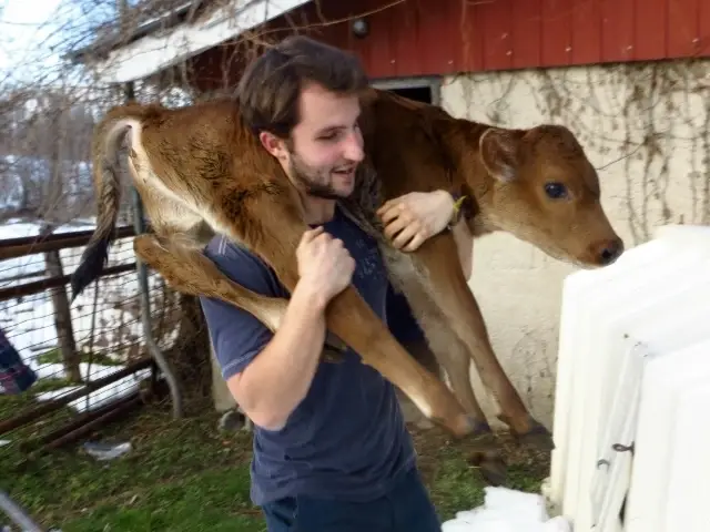 Biodynamic Grass Fed Raw Milk Dairy Apprenticeship