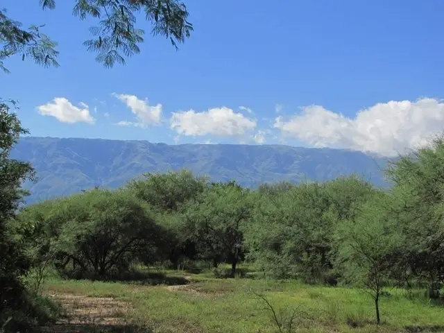 Voluntariado en conservación: Reserva privada en Villa de Merlo, San Luis