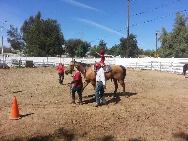 Lesson Volunteers to Work with Horses and Adults and Children with Special Needs