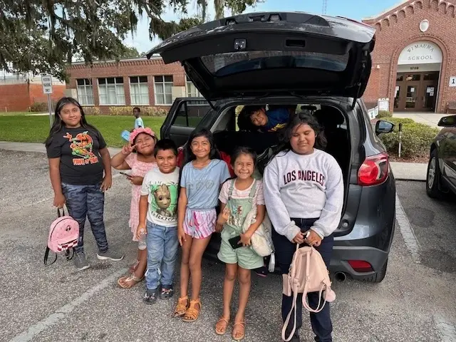 Tutor-Mentor - online or in person