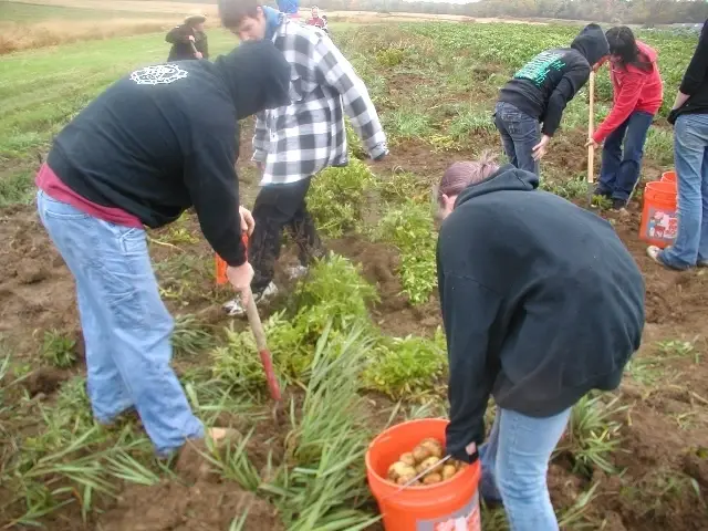 Fight Hunger by Volunteering at the Farm!